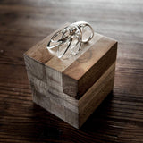 Papilio Ring ─ Bold (Archive)